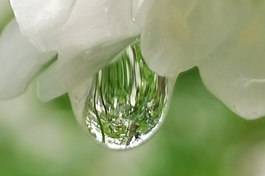 Achtsamkeit München-Pasing