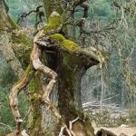 Meister Baum - Weisheit aus der Wurzelwelt, Aubinger Lohe